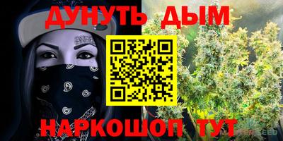 гашик Ипатово