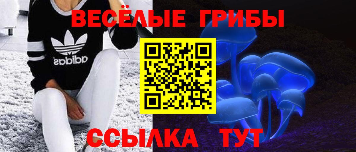 Кокаин Ленинск-Кузнецкий