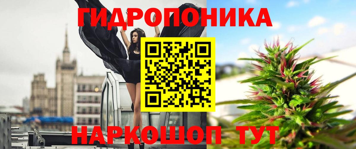 Канабис OG Kush  Вход с VPN  Конопля MAZAR  Ленинск-Кузнецкий  Канабис индика 